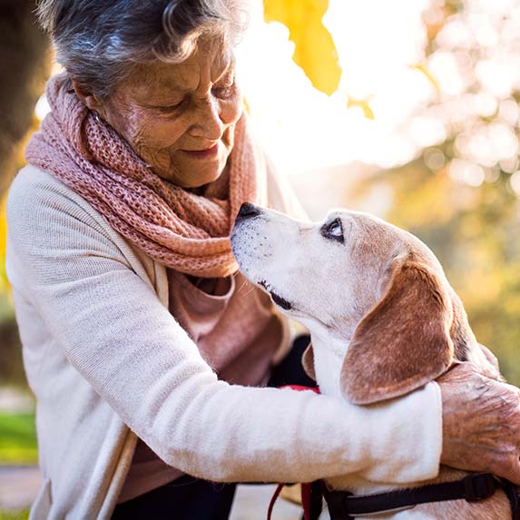 Aide à domicile : gestion des animaux
