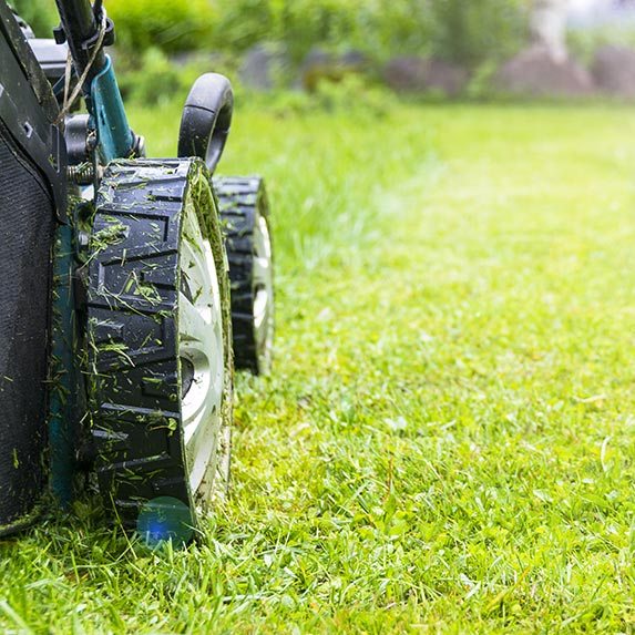 Tondeuse professionnelle jardinier o2