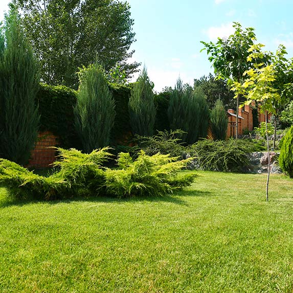 Extérieur entretenu par jardinier o2