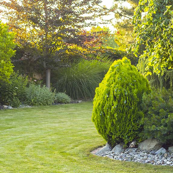 Terrain entretenu et herbe fraichement tondue