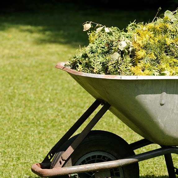 Ramassage et nettoyage branchages et déchets verts